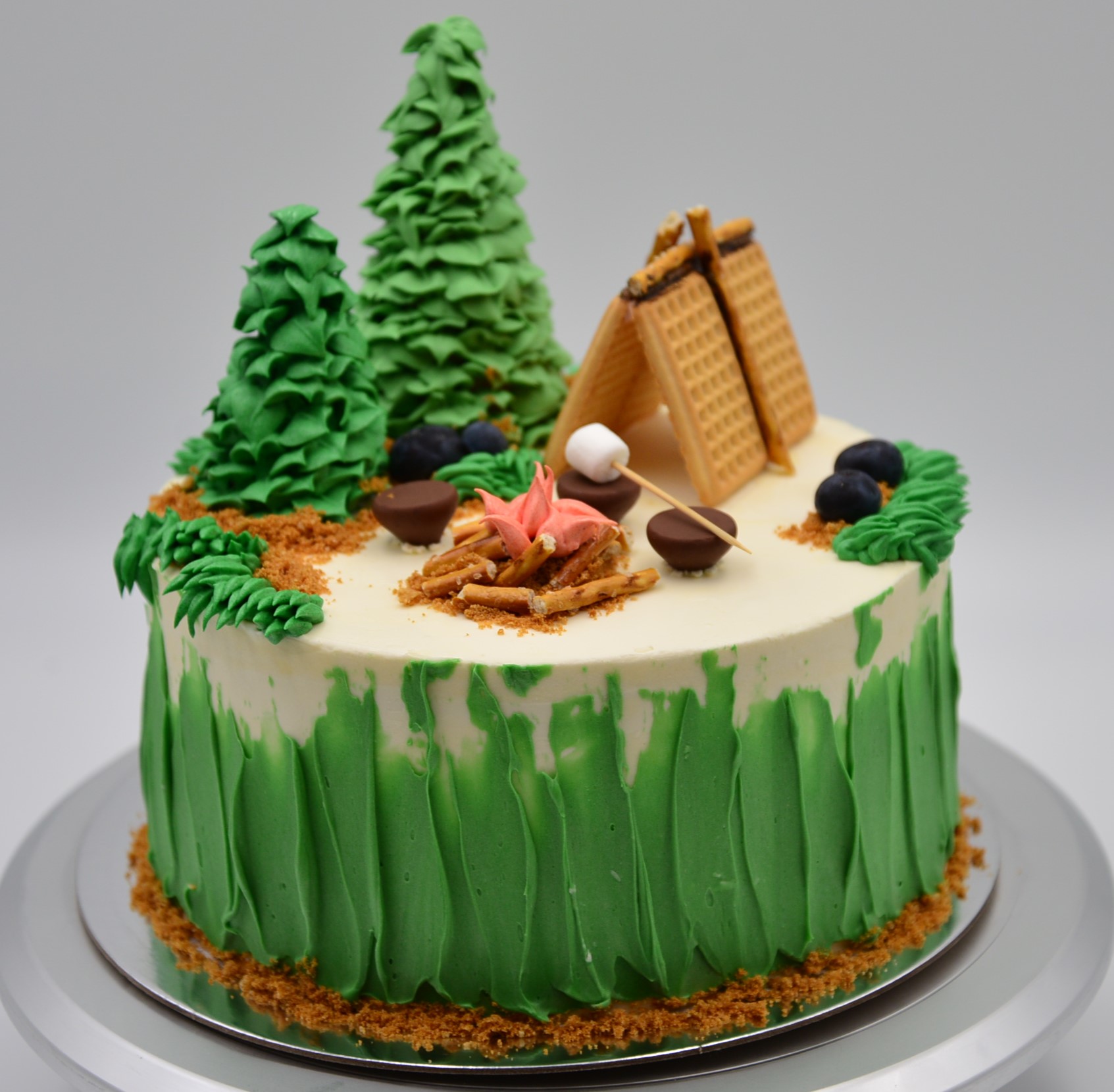 Boyscout theme cake with a campground theme.